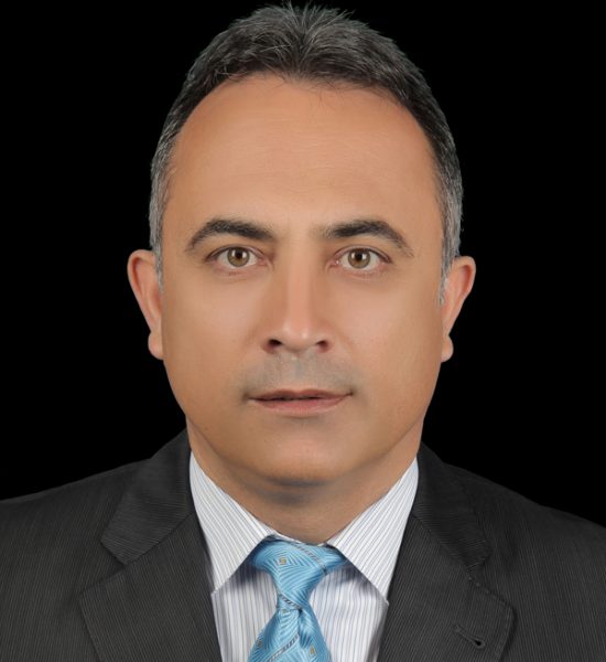 sezgin tekeli